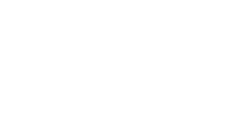 ענקית קידום האתרים